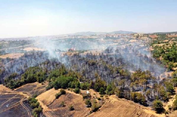 Uşak'ta 2 noktada orman yangını