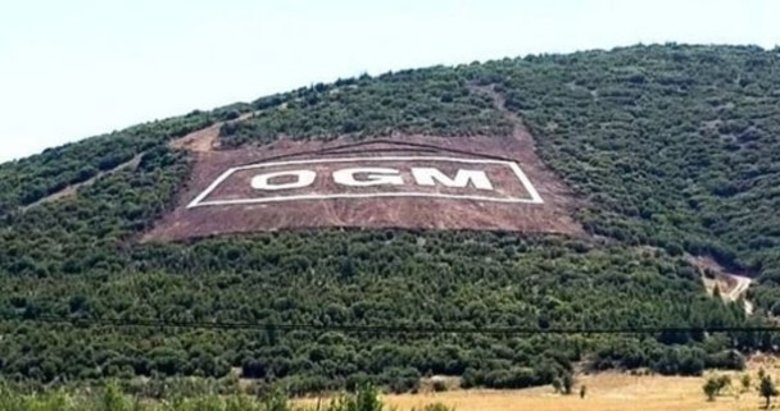 OGM: 6 ilde 11 yangına müdahale sürüyor