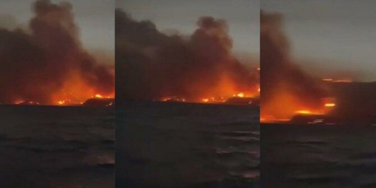 “Durum çok ciddi" Milas Belediye Başkanı: Alevler termik santralin dibine geldi