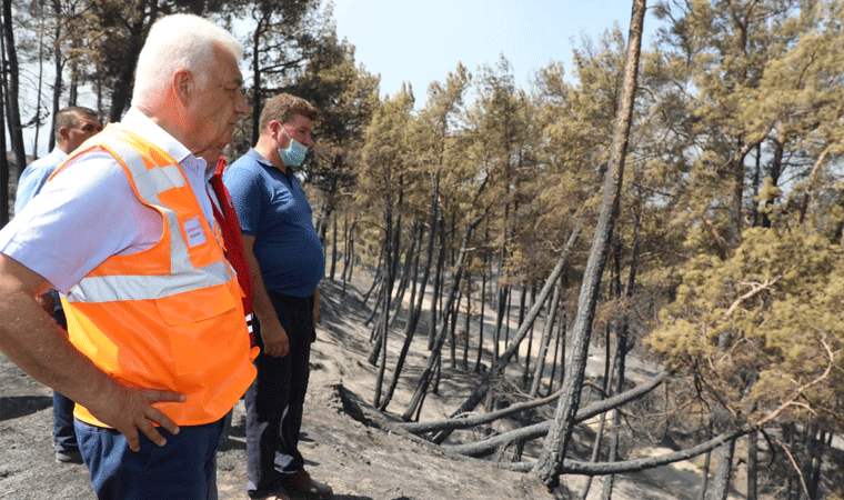 Muğla Büyükşehir Belediye Başkanı Gürün'den açıklama! Yanan alanın büyüklüğünü açıkladı