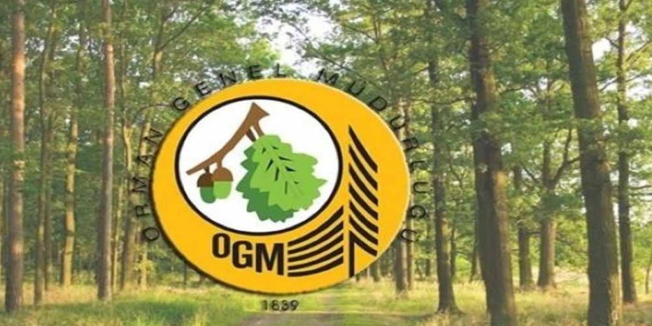 Sayıştay'dan "Orman Genel Müdürlüğü" eleştirisi...  Envanter bile çıkarmamış!