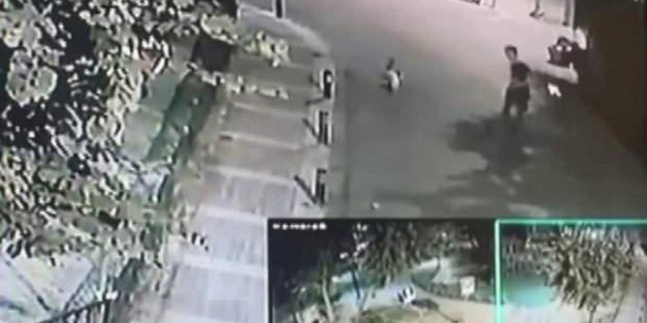 Tek kelimeyle vahşet! İnsanlığın bittiği an! Kediyi yerden yere vurarak öldürdü!