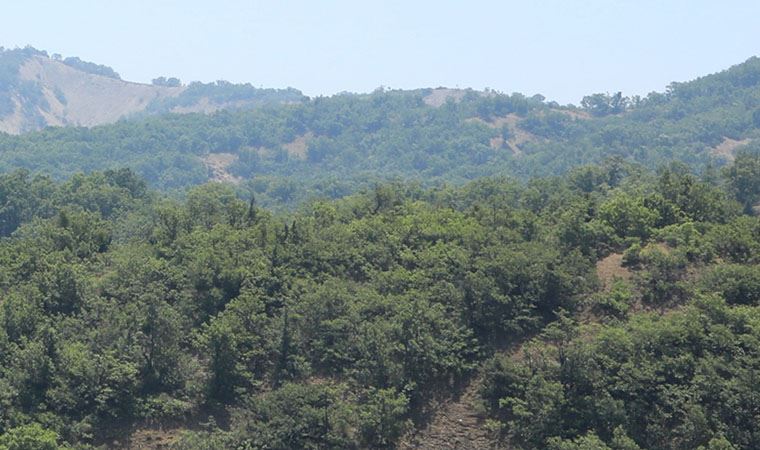 Bir kentte daha ormanlık alanlara giriş yasaklandı