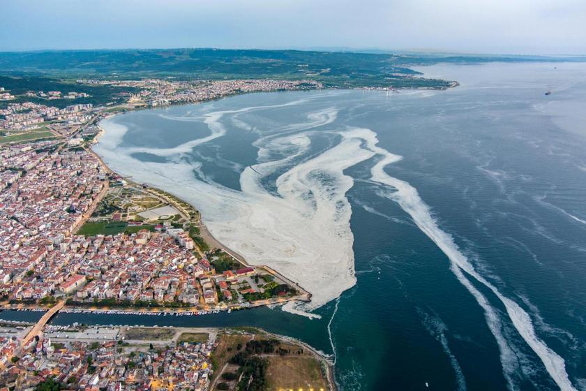 Karadeniz'de müsilaj tehlikesi