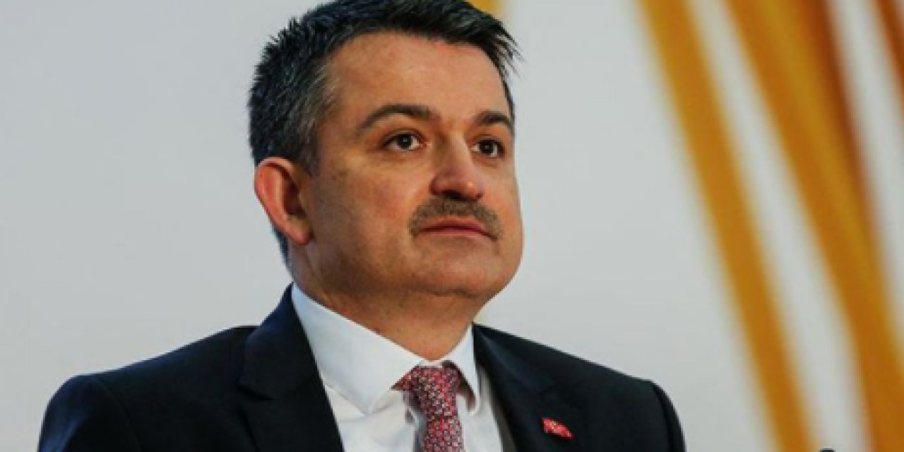 CHP 2019 yılında "Orman yangınlarıyla mücadeleye ayrılan bütçe neden 5 kat azaltıldı?" diye sormuştu... Pakdemirli o sorulara bakın nasıl yanıt vermiş?