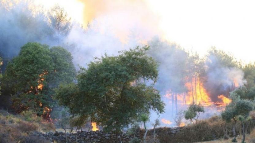 "O gün bitebilirdi; buralar hiçbir şekilde yanmayacaktı"