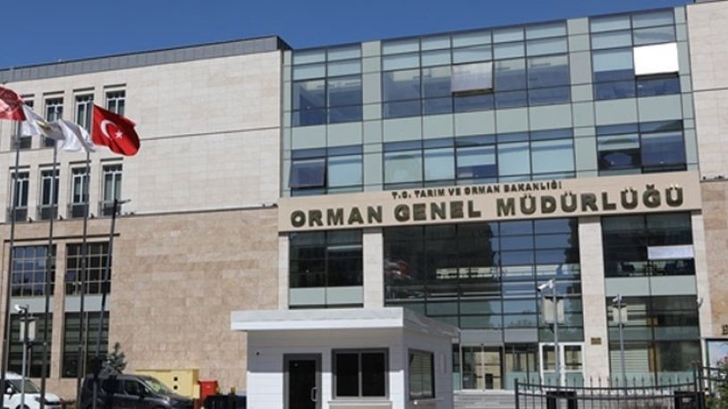 Raporlar her şeyi gözler önüne serdi! İşte Orman Genel Müdürlüğü'nde yaşanan kriz