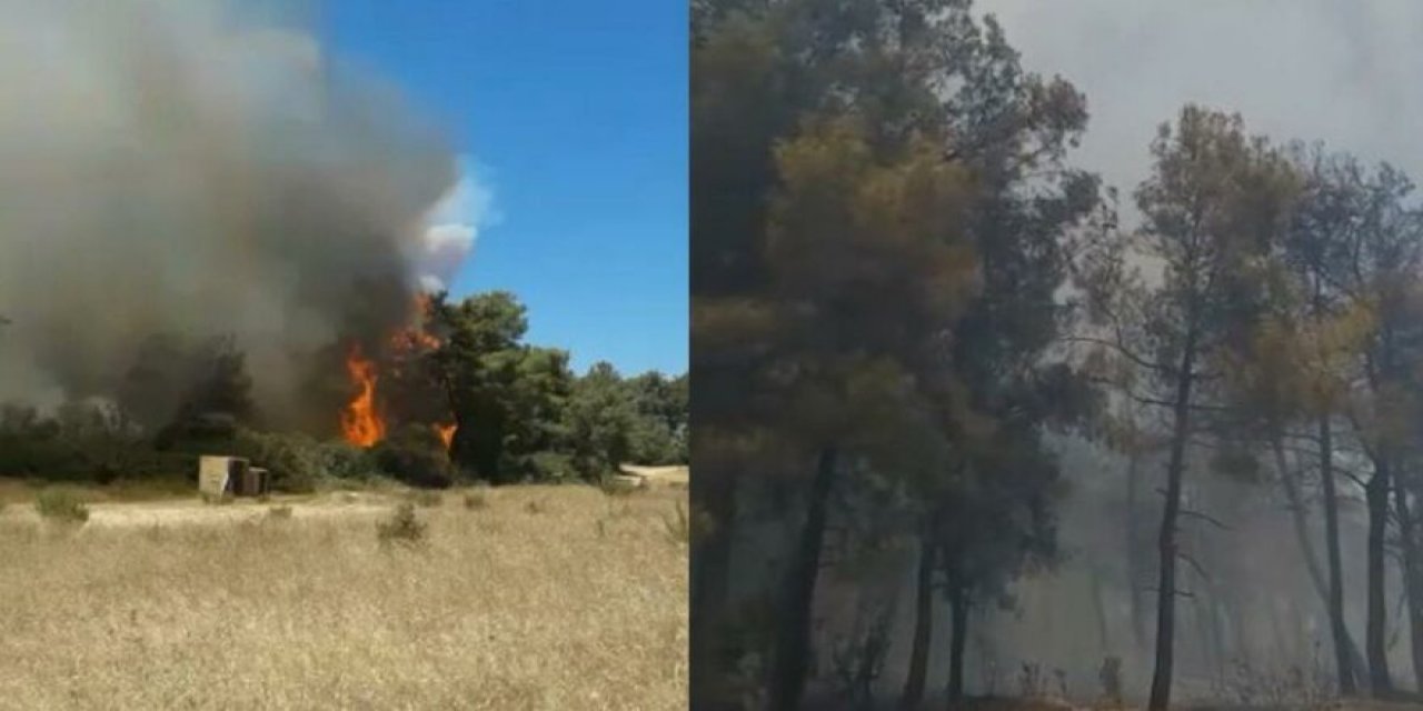 10 gün geride kaldı... Manavgat’ı küle çeviren ilk yangın böyle başladı!