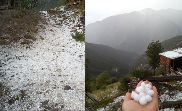 Beklenen yağışlar Artvin'de dolu olarak yağdı! Sırada hangi iller var?