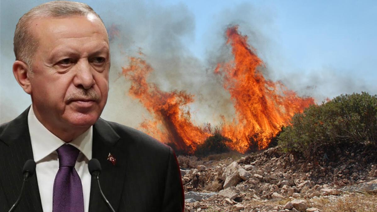 Erdoğan açıkladı! Orman yangınları hakkında yeni karar