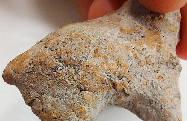 Bilecik'teki kazıda bulunan hayvan figüründe 9 bin yıllık parmak izi