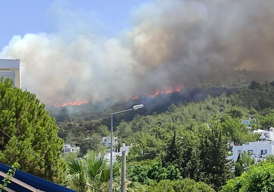 Bodrum Belediye Başkanı Aras açıkladı! İşte yürek yakan bilanço
