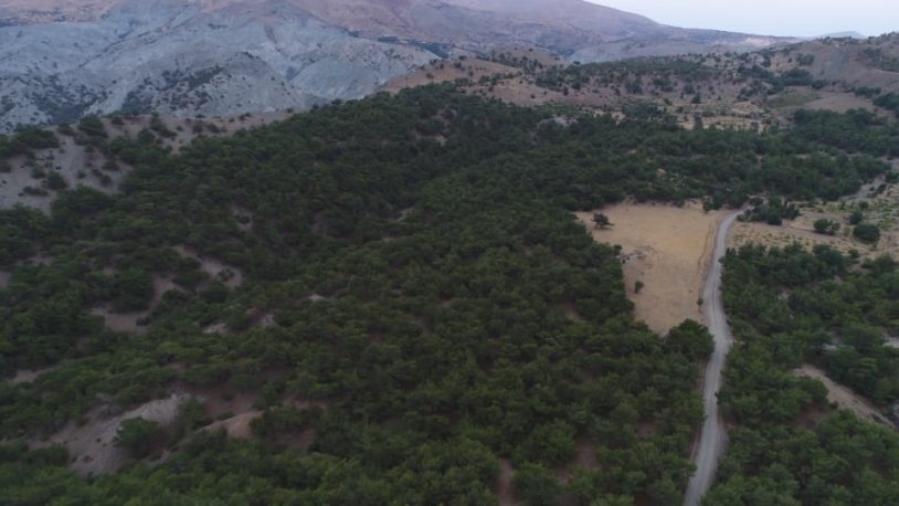 Bir kentte daha ormanlık alanlarda mola ve piknik yasaklandı