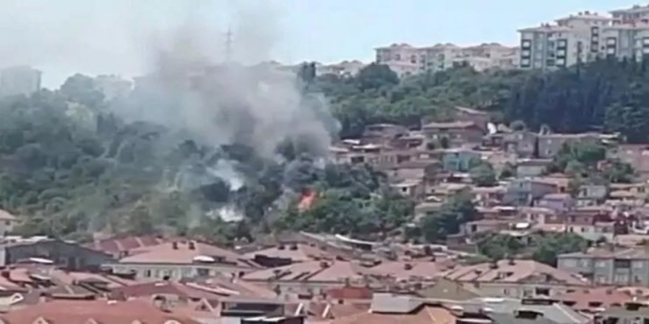İstanbul’da ağaçlık alanda korkutan yangın!