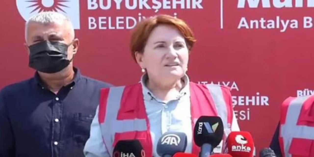 Meral Akşener orman yangınlarına karşı tavrını koydu! "Terör üyeliği ile yargılanmalılar"