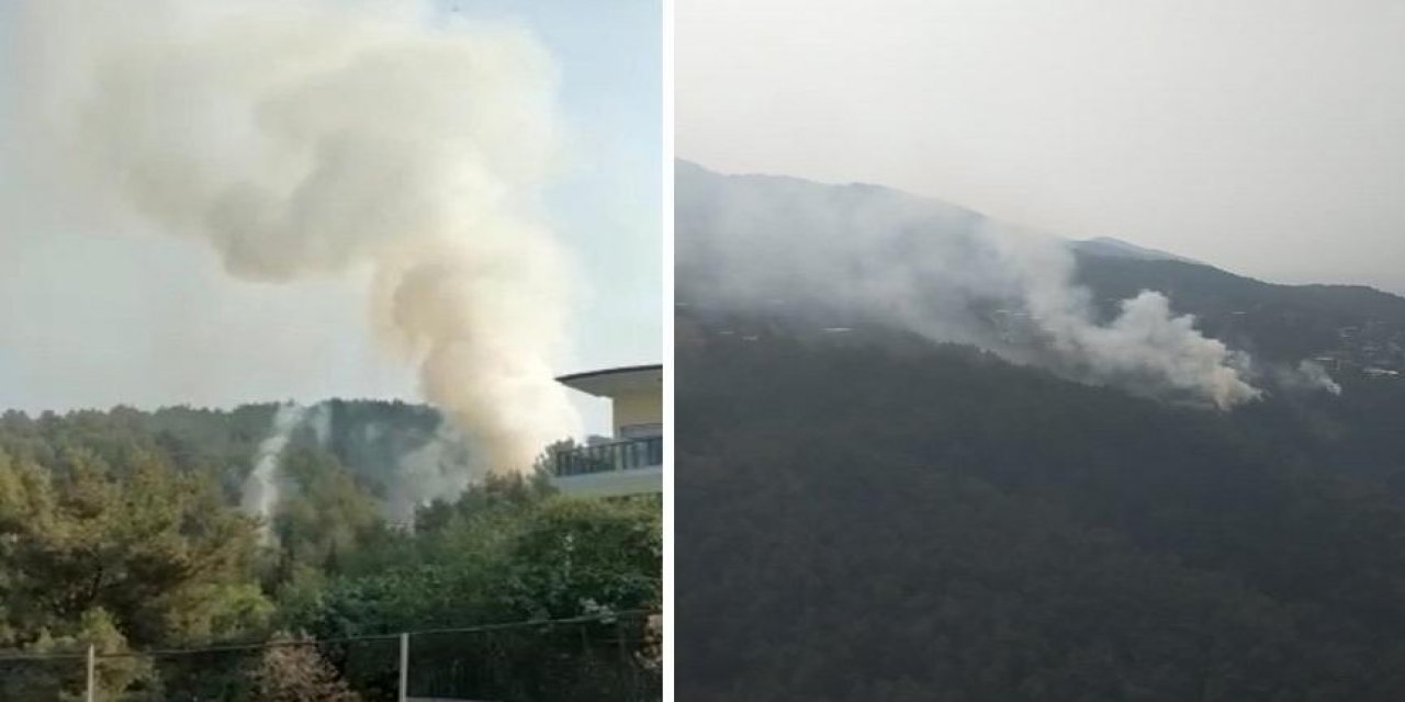 Bir tane daha... Hatay’da orman yangını!