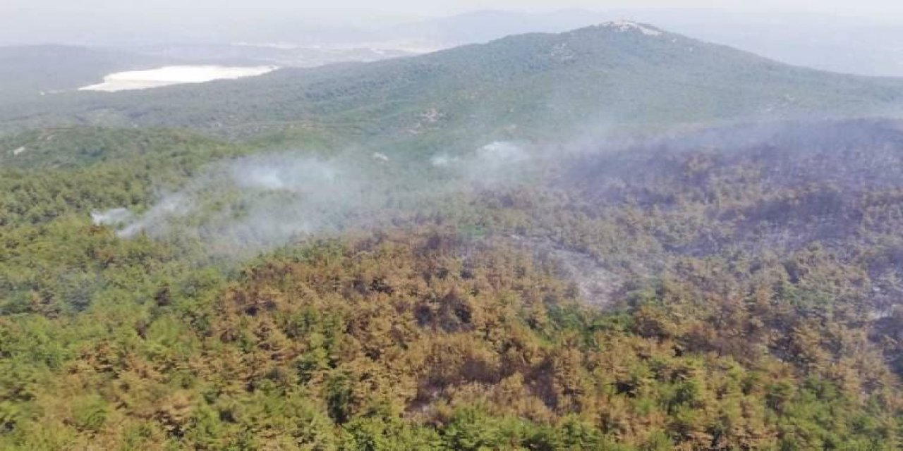 Alevler santrale 4 kilometre uzaklıkta... Milas'ta orman yangını yeniden başladı!