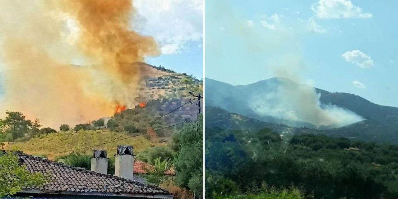 Karacasu’da zeytinlik yangını! Alevler ormanı tehdit ediyor...