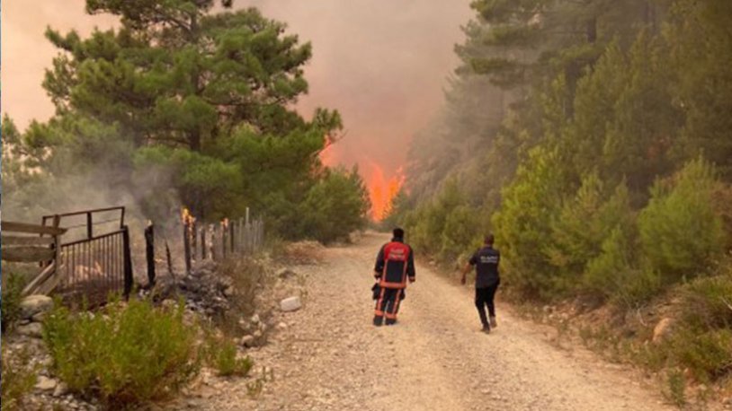 Manavgat'taki yangının bilançosu ortaya çıktı!