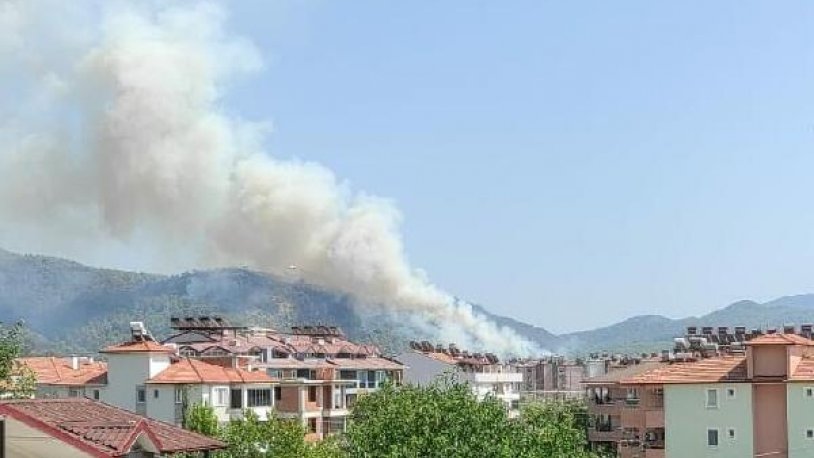 Muğla Dalaman'da orman yangını! Havalimanına çok yakın