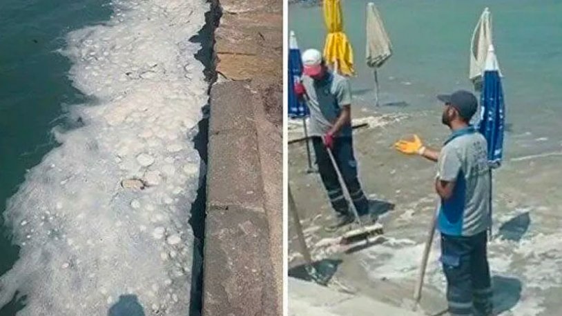 Datça sahilinde tatilcileri tedirgin eden görüntü