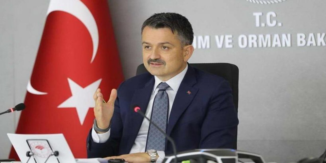 Her sözü havada kaldı... Bakan Pakdemirli yangınlarda ne dediyse tam tersi oldu!