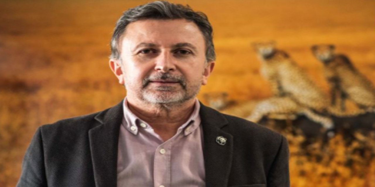 "Bu yıl yanan orman alanı son 20 yılın toplamım kadar" İşte acı tablo...