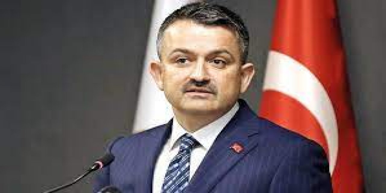 "Ormanla  değil Orman Spor’la ilgileniyor!" Barış Yarkadaş belgeleri yayınladı! Vahim iddialar...