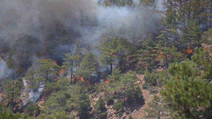 Köyceğiz'deki yangın hakkında korkutan gelişme