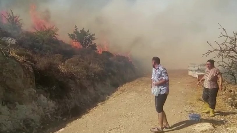 Bodrum'da endişelendiren yangın! Alevler hızla ilerliyor