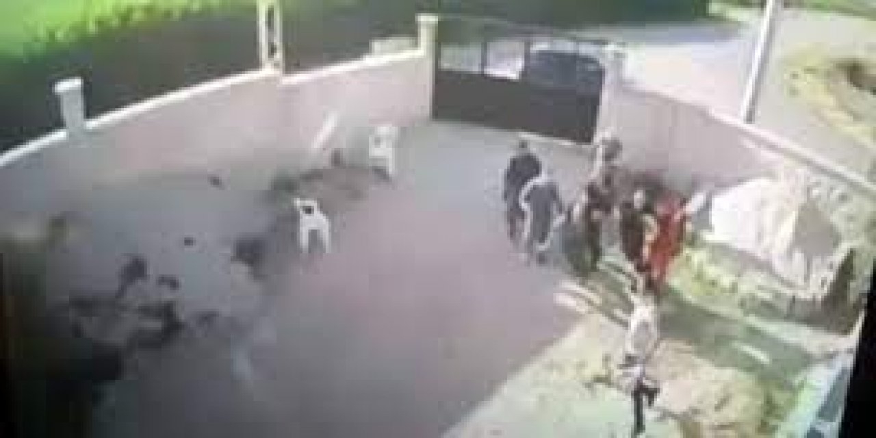 7 kişiyi katletmişti... İsmail Saymaz yazdı: Konya katili köpeği de vurmuş!