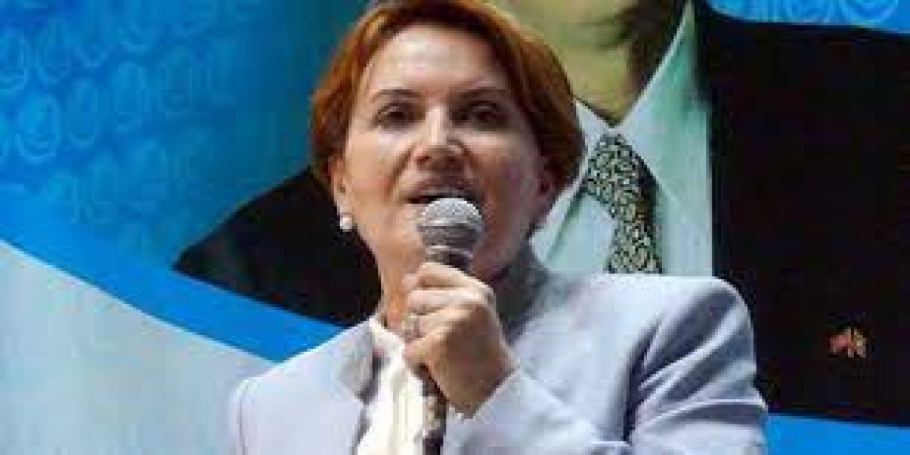 "Partili Cumhurbaşkanlığı Erdoğan'a da yaramadı" Meral Akşener'den "sistem" tespiti! "Gördüğüm şey şu..."