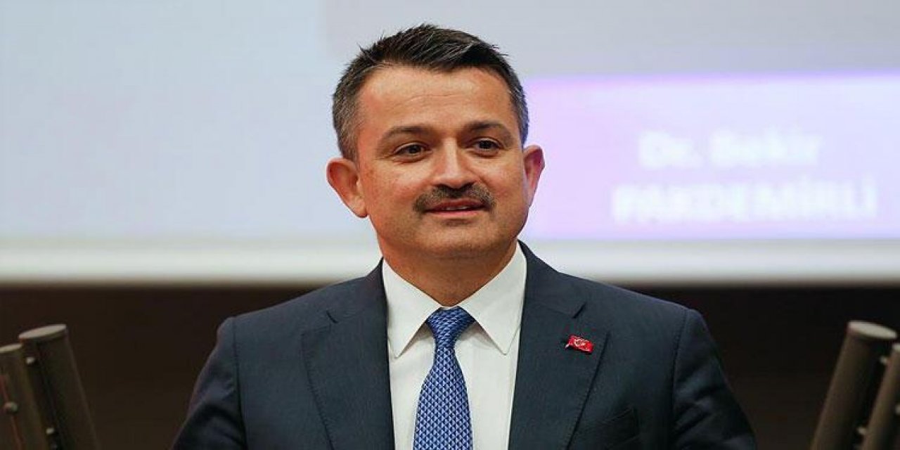 Bakan Pakdemirli'den orman yangınlarına ilişkin açıklama!
