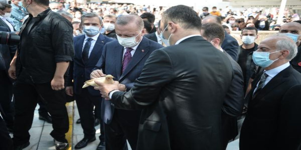 kuş yemi satıcısının ahşap güvercinini imzaladı