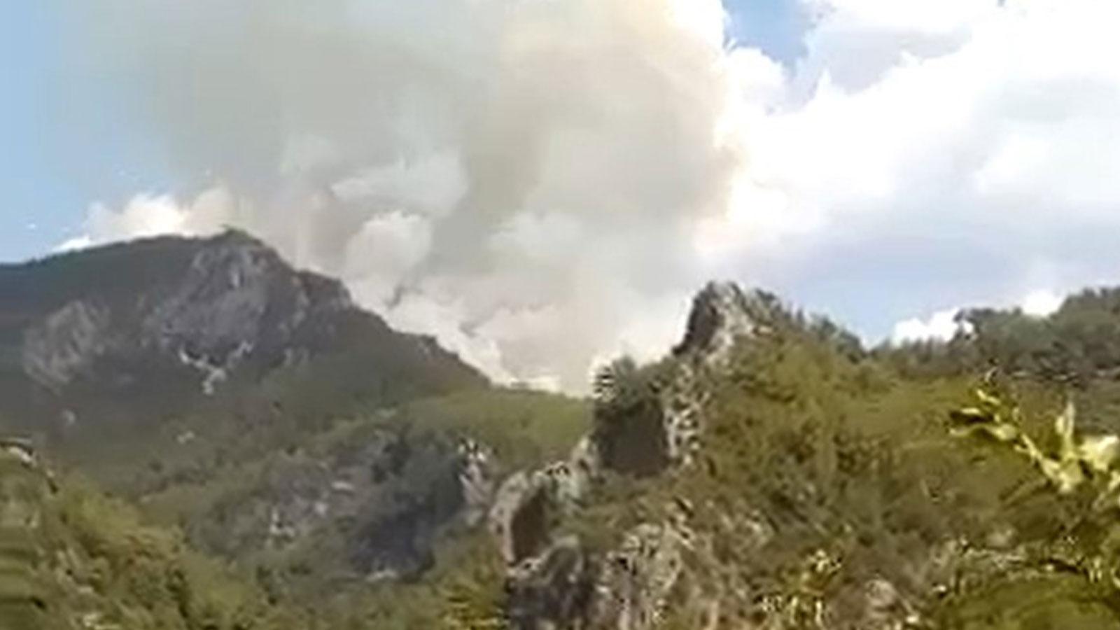 Antalya'nın Alanya ilçesinde orman yangını çıktı