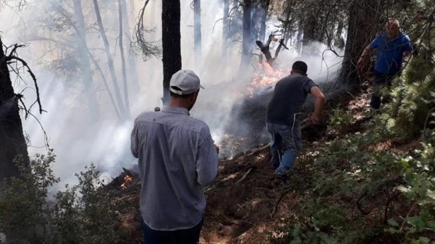 İzmir'de ‘Orman Gönüllüleri Ekibi’ kuruluyor