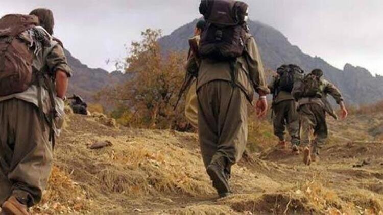 İçişleri Bakanlığı: İkna çalışmaları sonucu 1 PKK'lı teslim oldu