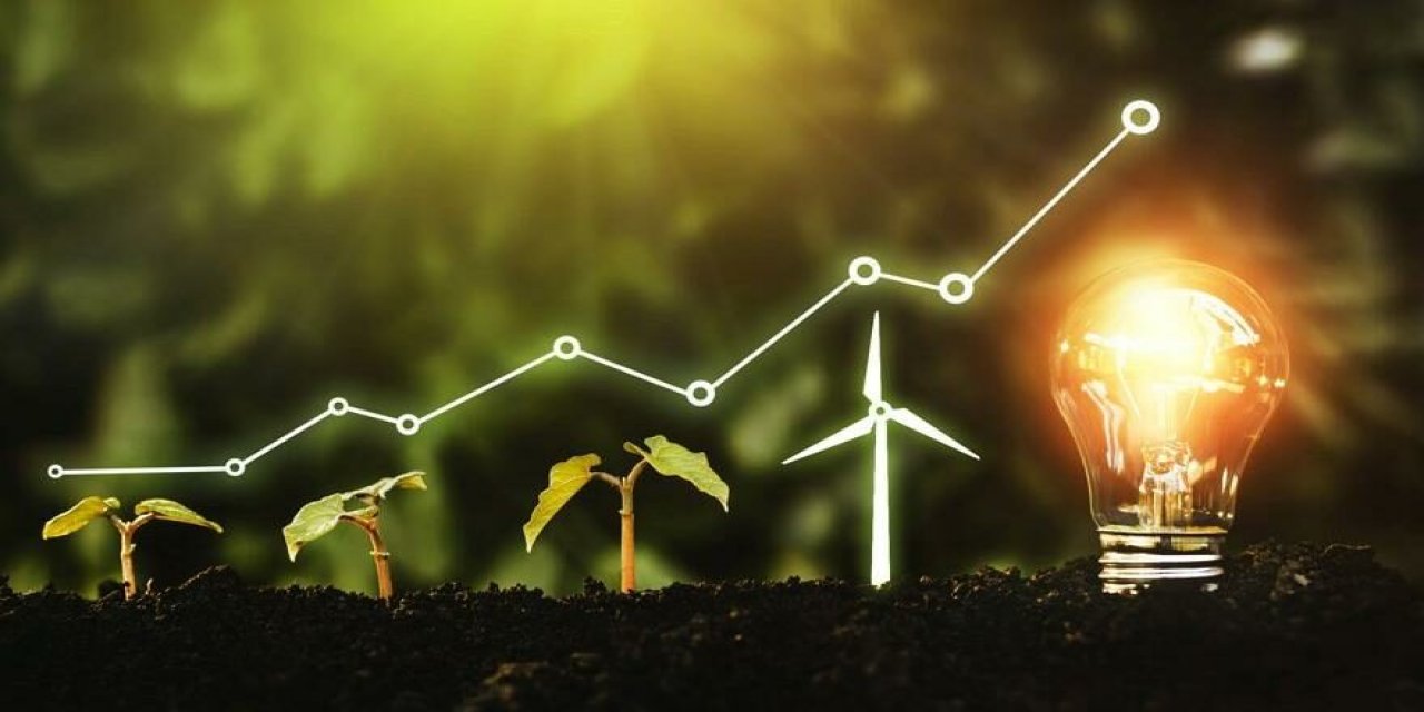 Yeşil enerji fiyaskosu... 46 milyonda sadece 156 abonesi var!
