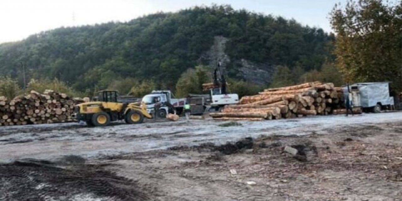 Ayancık’ı "tomruk" inadı bu hale getirdi! CHP'li vekilden çarpıcı iddia: Felaketin nedeni Pakdemirli'nin...