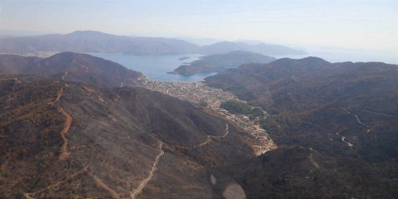 Muğla Belediye Başkanı açıkladı! "Şehrimiz, ormanlarının yüzde 8’ini kaybetti"