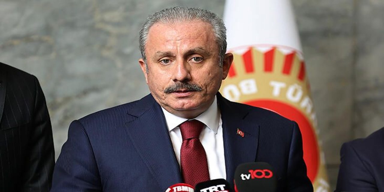 Mustafa Şentop: Bozkurt'ta böyle yapılaşmaya izin verilmemeliydi