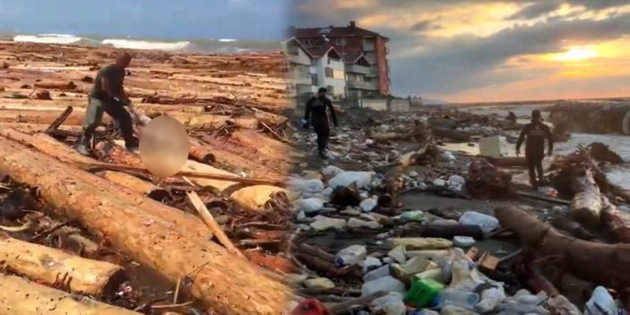 Sosyal medyada gündem oldu! Kahreden görüntü...  Denizdeki tomrukların arasından tek tek cansız beden topluyorlar!