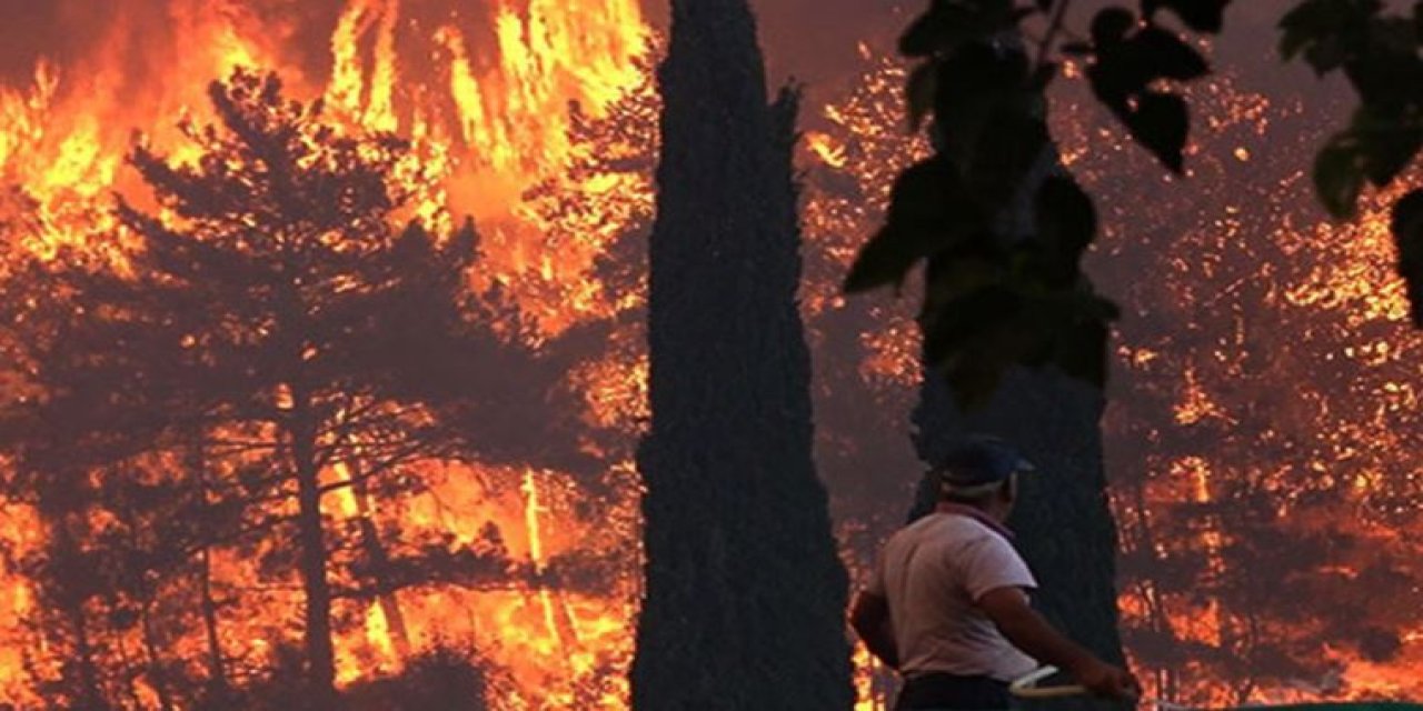 Refah Partisinden çarpıcı açıklama! Yanan ormanlara "kenevir" ekilmesini istedi!