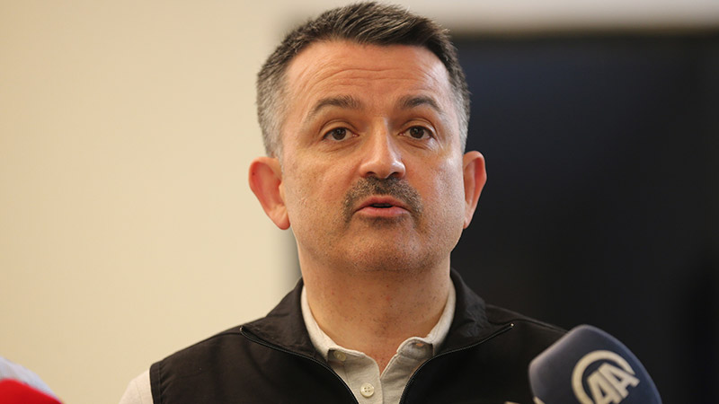 Bakan Pakdemirli'den Antalya ve Çanakkale'deki yangınlara ilişkin açıklama