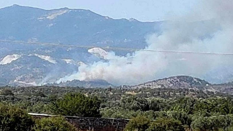 Tarım arazisinde başladı kısa sürede sıçradı! Milas'ta orman yangını