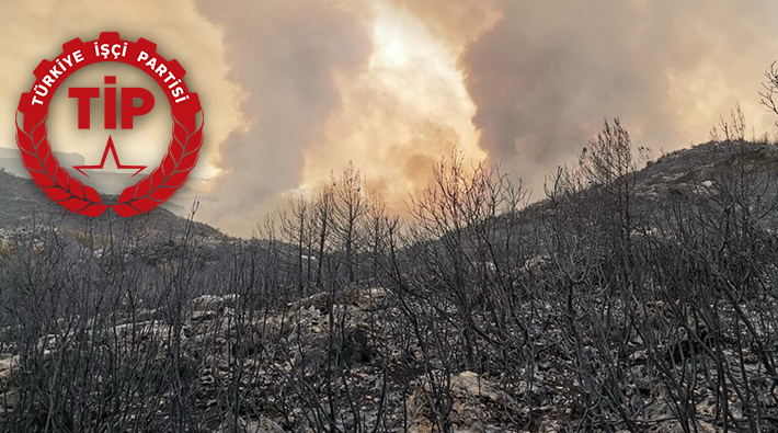 Türkiye İşçi Partisi düğmeye bastı! Bekir Pakdemirli, THK ve ihmallere karşı dava