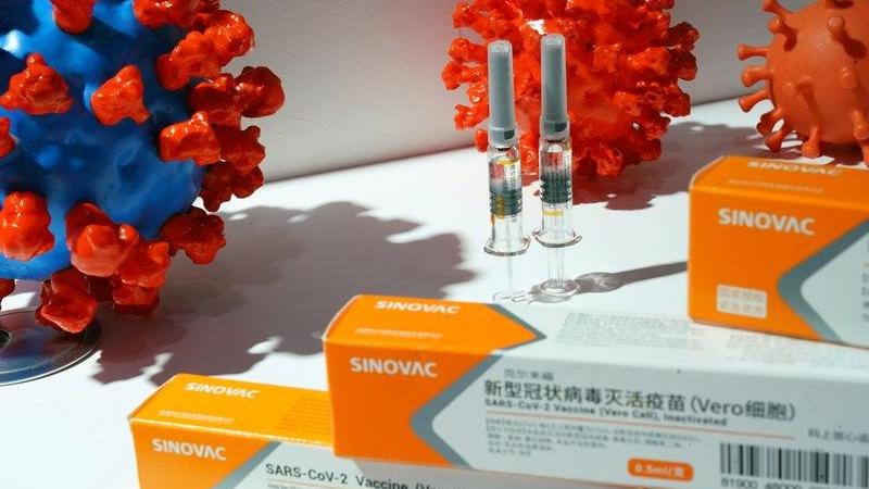 Sinovac aşısının yan etkileriyle ilgili yeni sonuçlar ortaya çıktı: Yüz felci geçirme oranı...