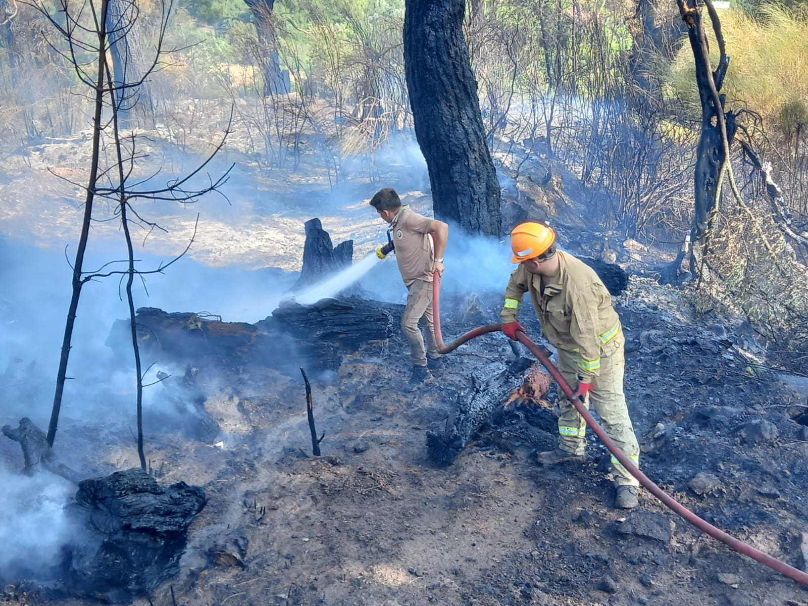Antalya'da bahçede başlayan yangın ormana sıçradı