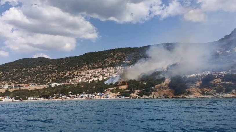 İzmir Dikili'de endişelendiren yangın
