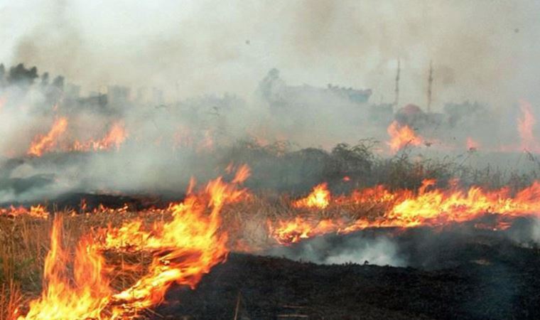 Kırıkkale'de korkutan anlar; anız yangını ormana sıçradı
